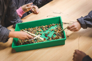 Zvýšení kvality a dostupnosti vzdělávání v ZŠ Dolní Ředice