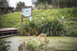 Zahrada a příroda jako učebna