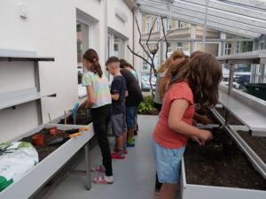 Rekonstrukce skleníku a dílen ZŠ Nelsonská