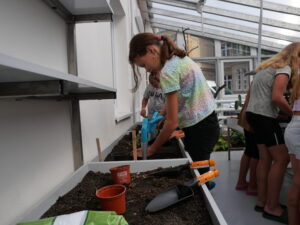 Rekonstrukce skleníku a dílen ZŠ Nelsonská