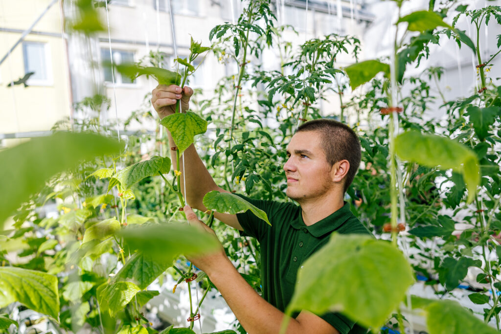 Akvaponický skleník v Třeboni