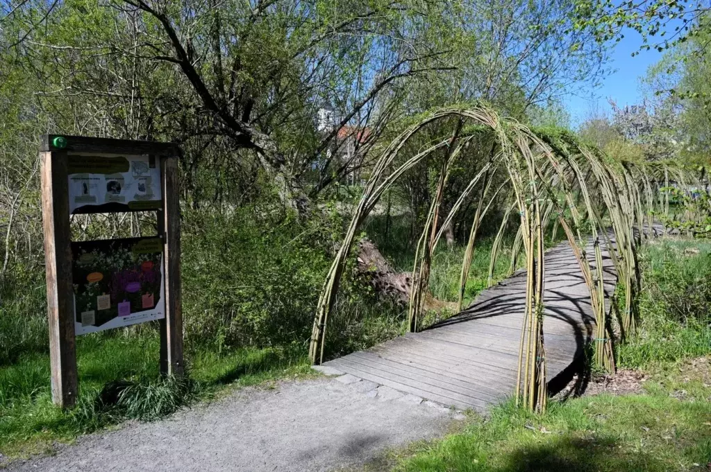 Jak správně stanovit předpokládanou hodnotu veřejné zakázky? Na příkladu modernizace naučné stezky vysvětlujeme pojem funkční celek.